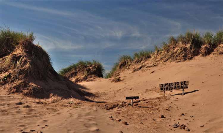 dunes